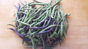 A big bowl of Fresh beans from our garden